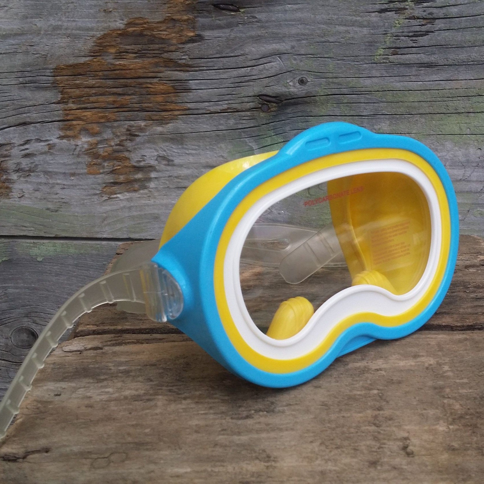 Sea Scan Swim Masks