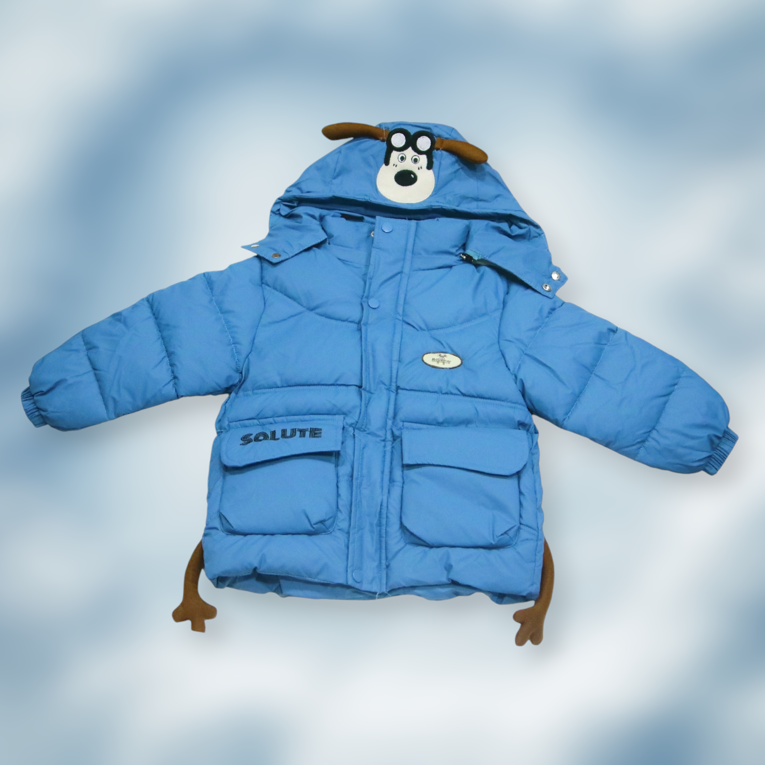 Boys Winter Jacket with Hood