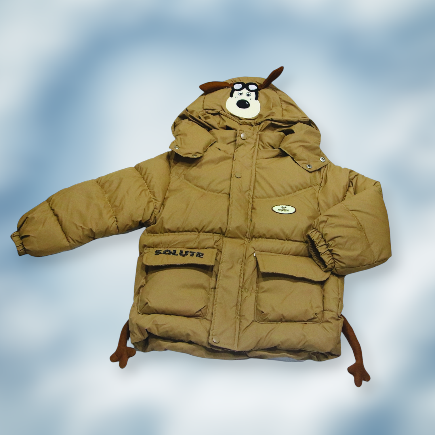Boys Winter Jacket with Hood