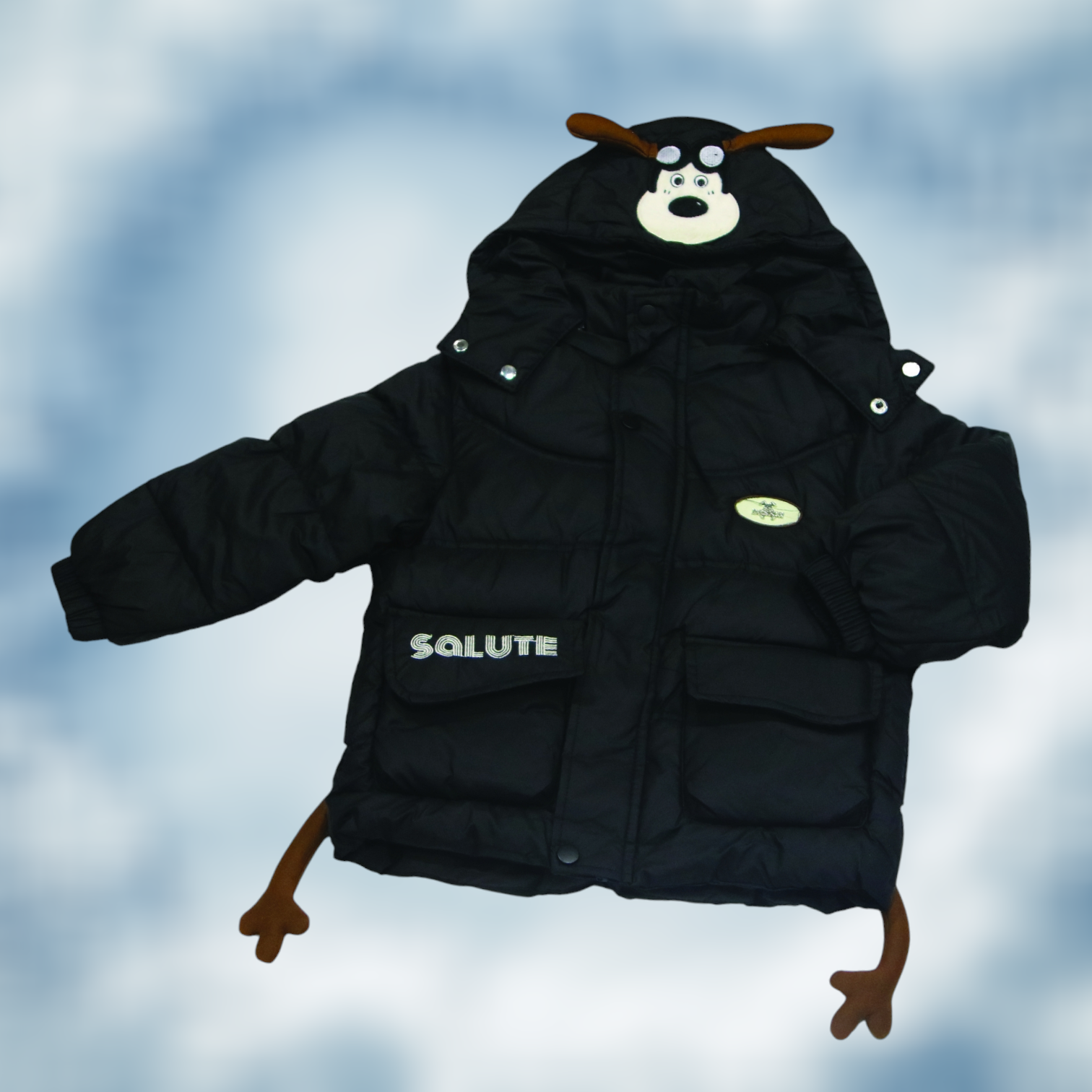 Boys Winter Jacket with Hood