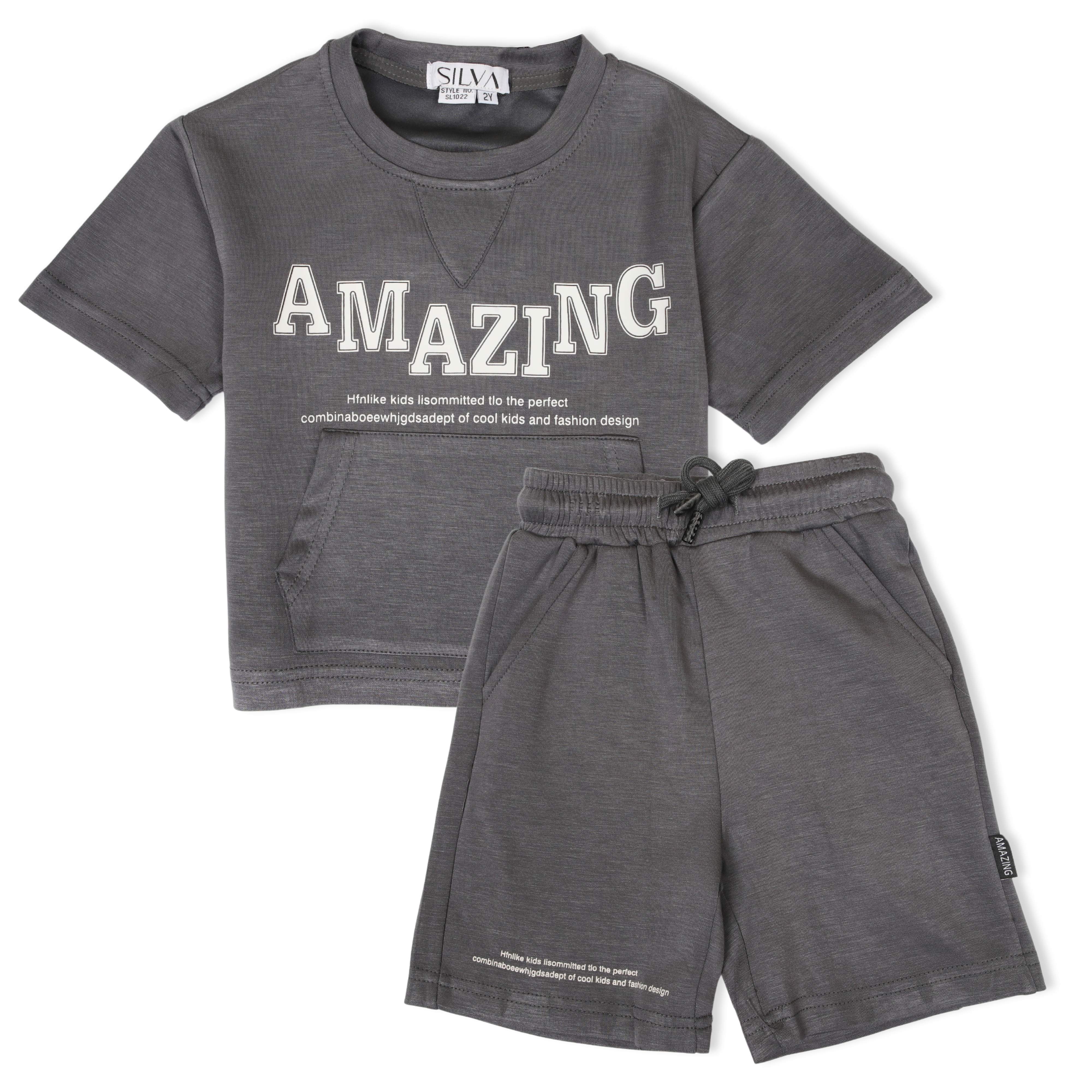 Silva- Boys Short Sleeves Tshirt & Short Set (2-5Y)