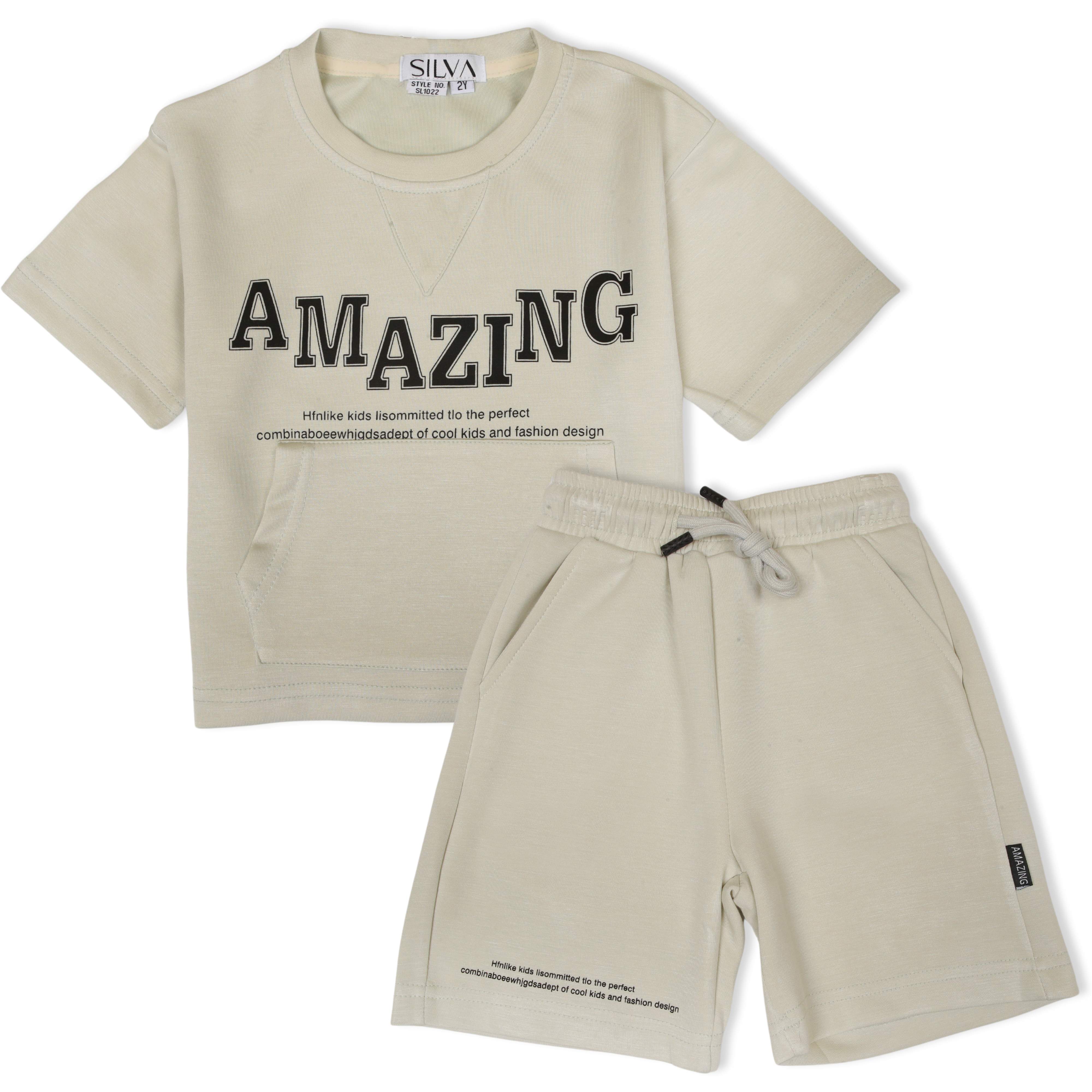 Silva- Boys Short Sleeves Tshirt & Short Set (2-5Y)