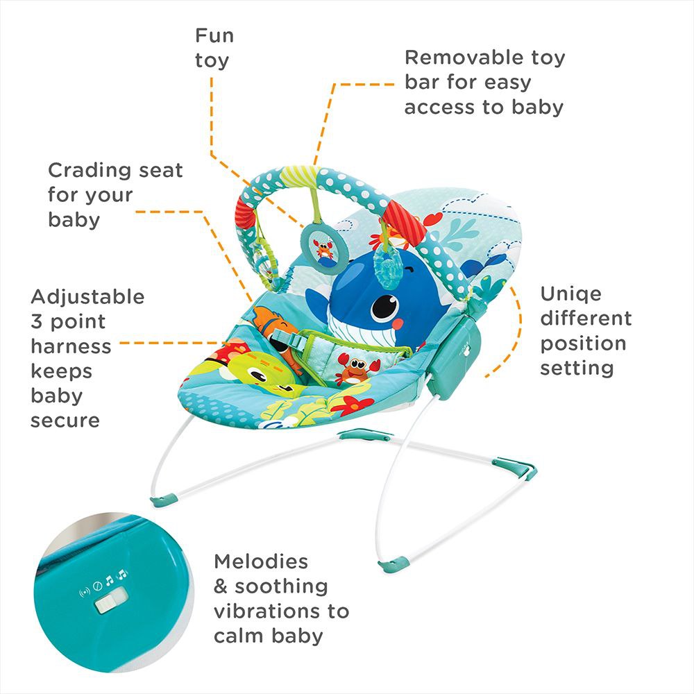Mastela Musical & Soothing Vibration Bouncer - Fish