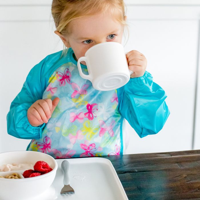 Green & Sprouts - Snap & Go Easy-Wear Long Sleeve Bib - Butterflies (2T/4T)