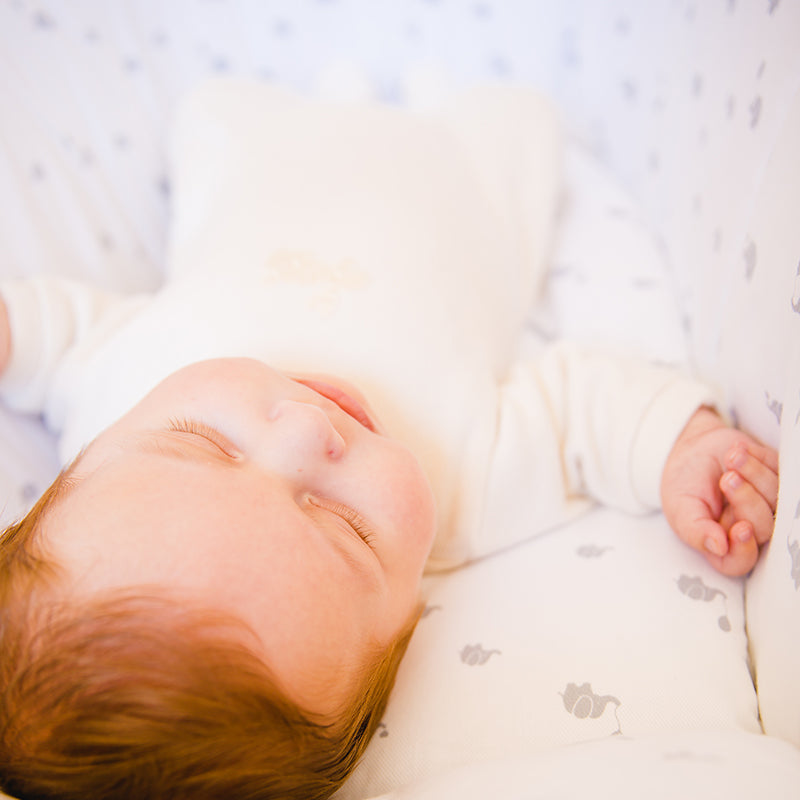 Gloop! Moses Basket Elephant (0-6 months)