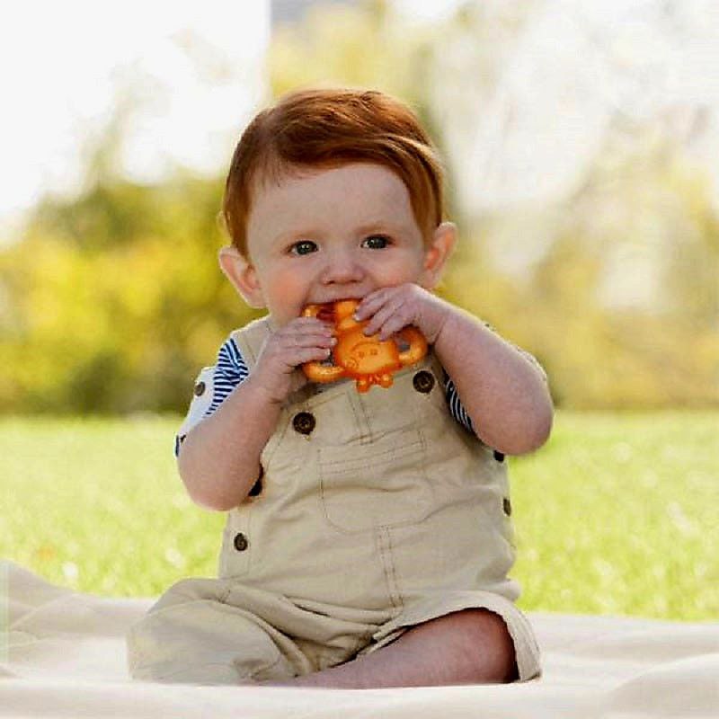 Infantino - Garden Teething Pals