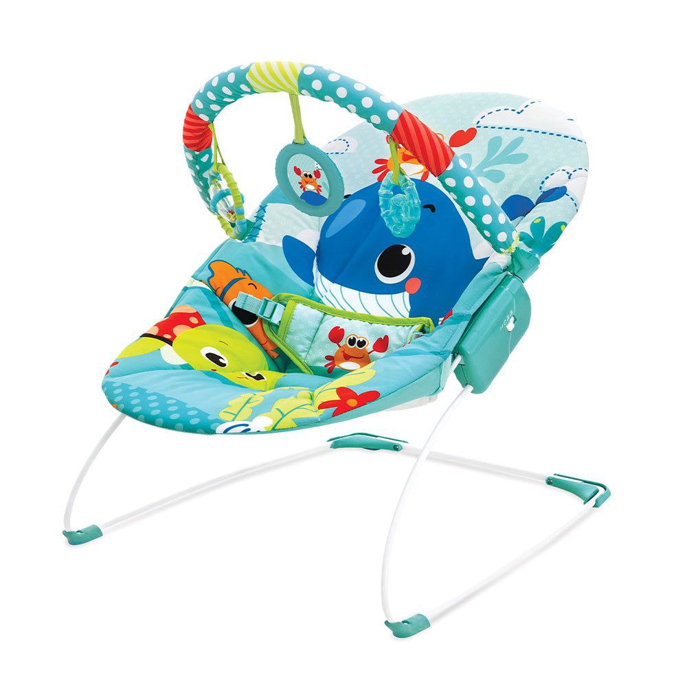 Mastela Musical & Soothing Vibration Bouncer - Fish