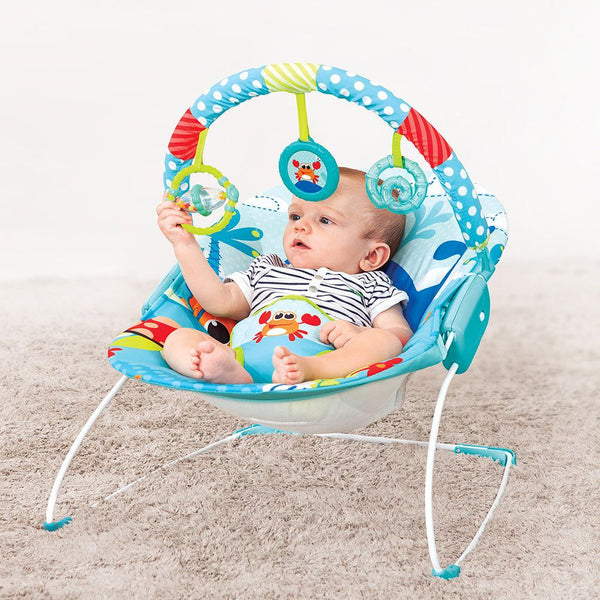 Mastela Musical & Soothing Vibration Bouncer - Fish