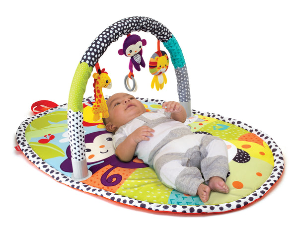 Infantino - Explore & Store Activity Gym (Turtles)