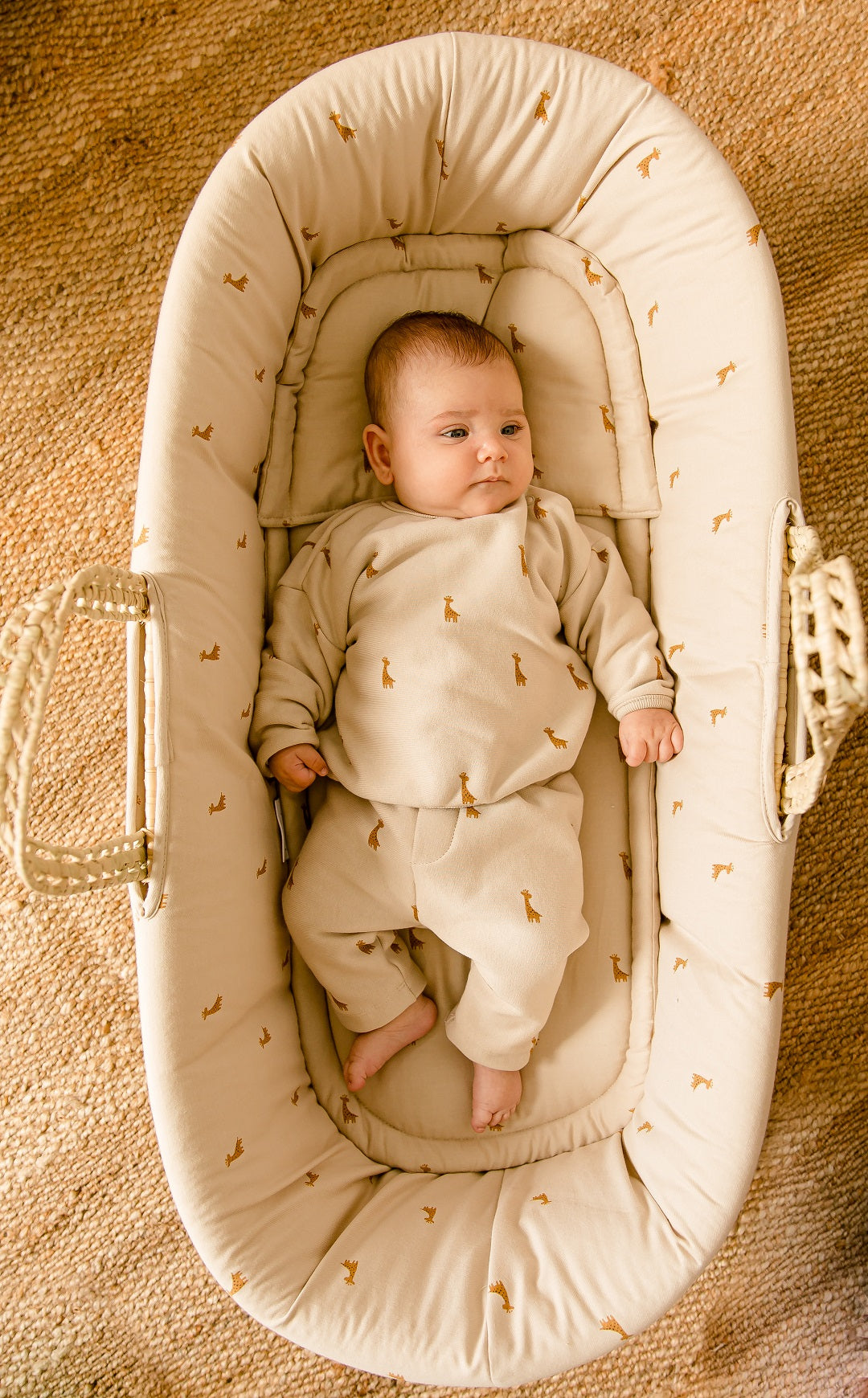 Gloop! Moses Basket Safari                                                                                     (0-6 months)