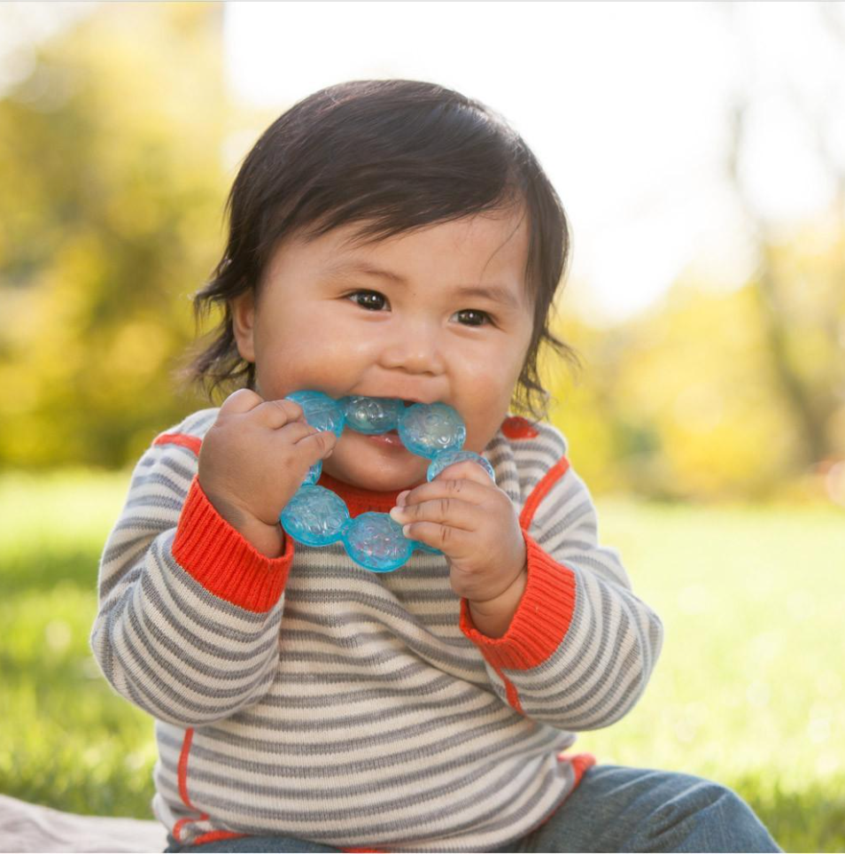 Infantino Water Teether Aqua